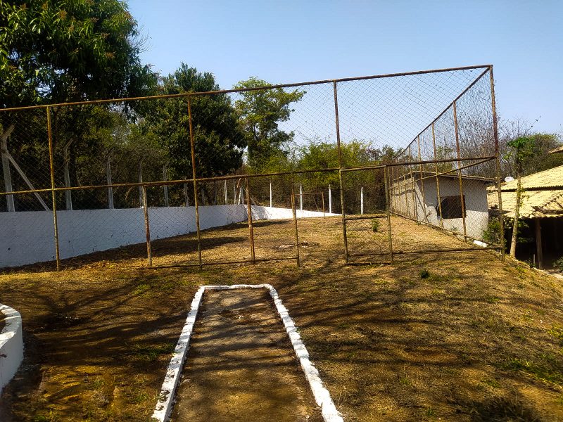 Campo