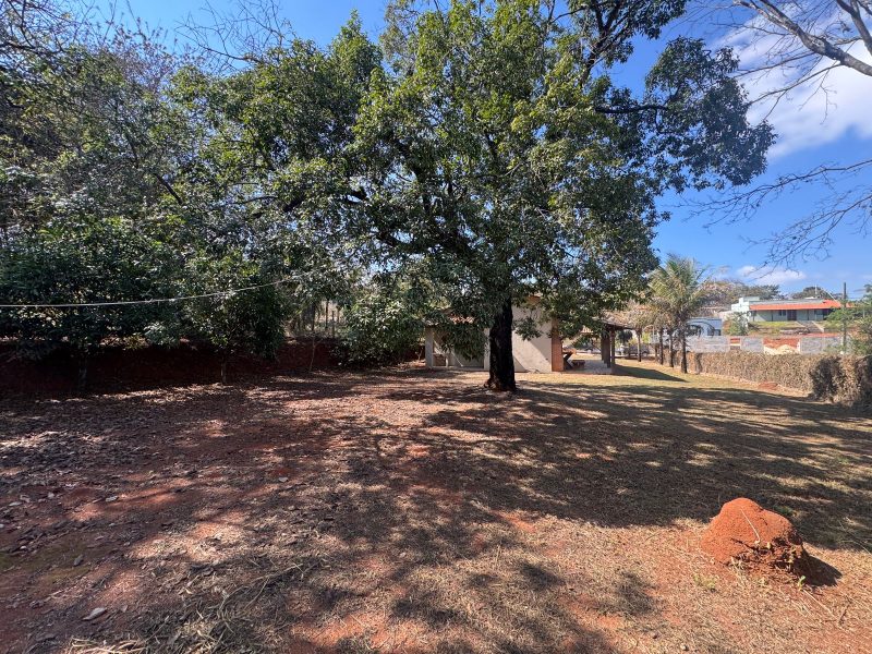 WhatsApp-Image-2025-08-03-at-08.02.54-3-3