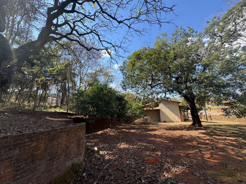 WhatsApp-Image-2025-08-03-at-08.02.56-4