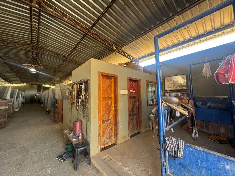 WhatsApp-Image-2025-08-03-at-08.58.45-1