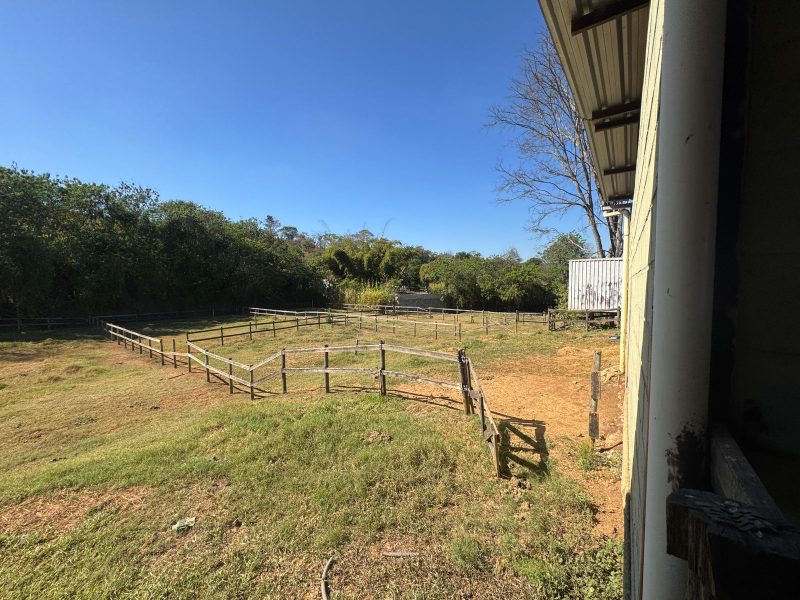 WhatsApp-Image-2025-08-03-at-08.58.45-2