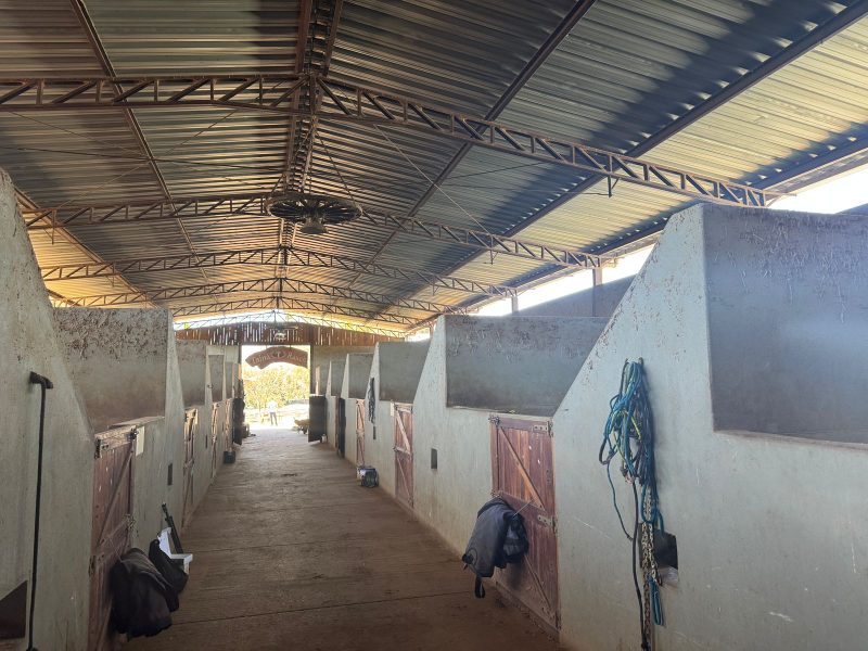 WhatsApp-Image-2025-08-03-at-08.58.46-4