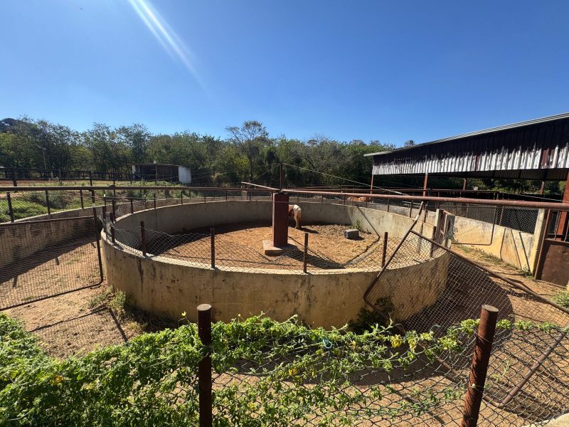 WhatsApp-Image-2025-08-03-at-08.58.46