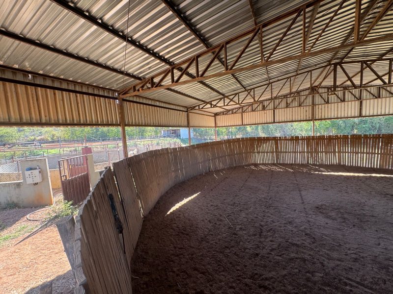 WhatsApp-Image-2025-08-03-at-08.58.47-3-1