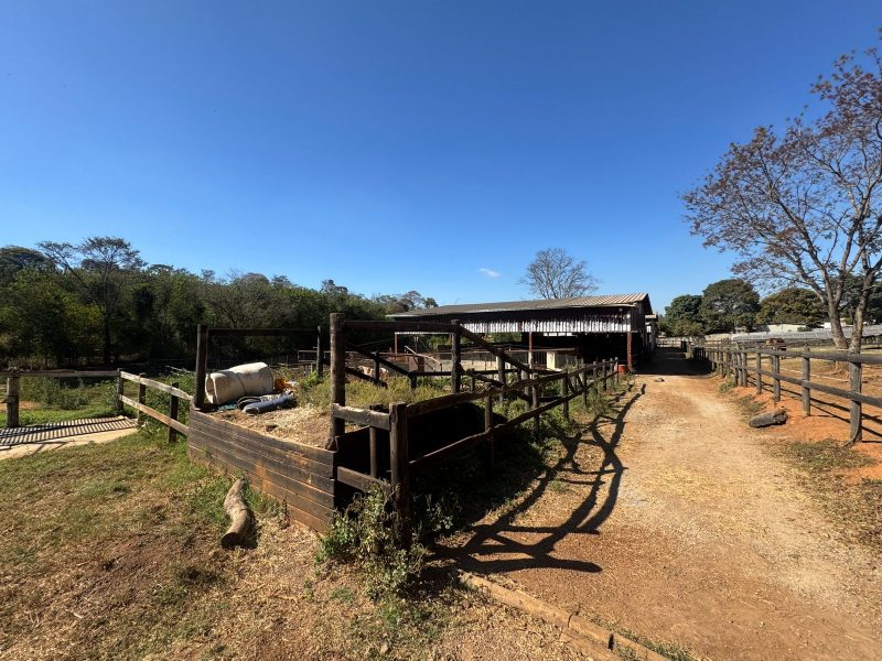 WhatsApp-Image-2025-08-03-at-08.58.47