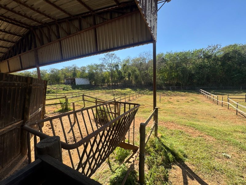 WhatsApp-Image-2025-08-03-at-08.58.48-3-1