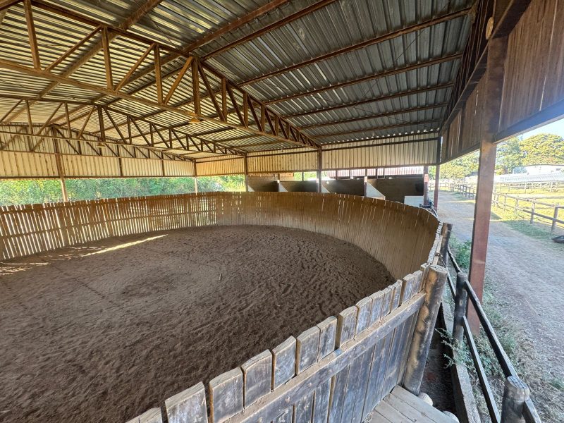 WhatsApp-Image-2025-08-03-at-08.58.48-4