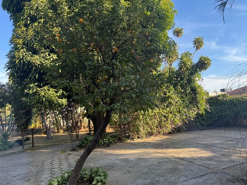 WhatsApp-Image-2025-09-03-at-11.38.19-5