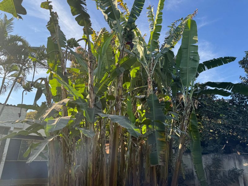 WhatsApp-Image-2025-09-03-at-11.38.20-4