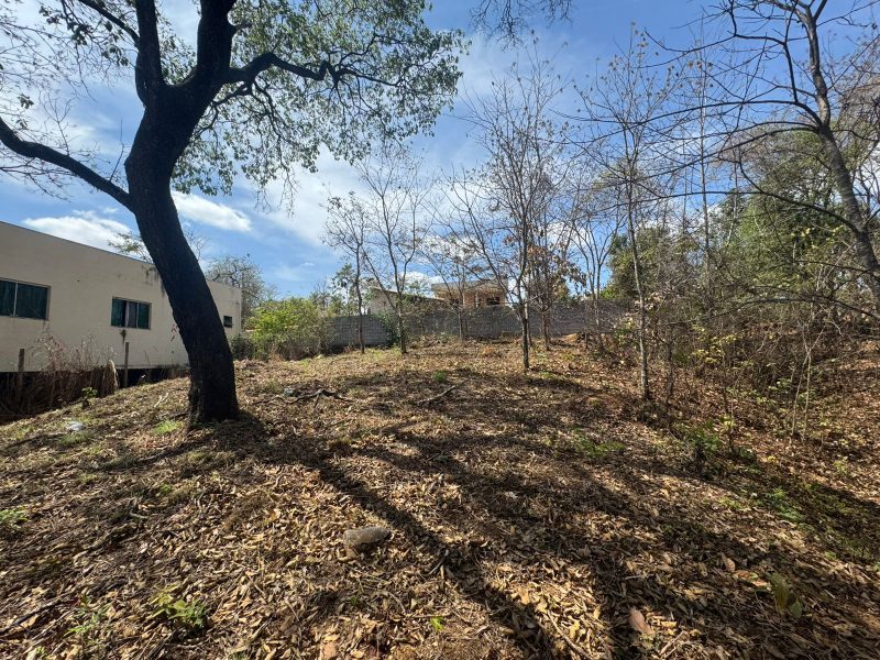 WhatsApp-Image-2025-09-19-at-13.03.58-2-1