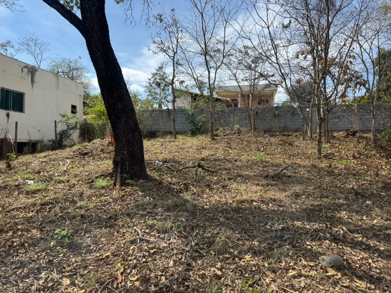 WhatsApp-Image-2025-09-19-at-13.03.58-3-1