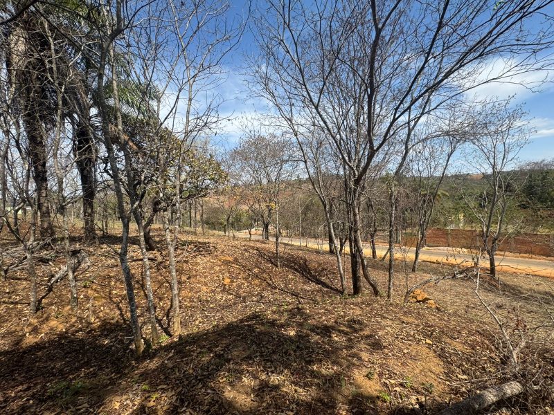 WhatsApp-Image-2025-09-19-at-13.03.59-1