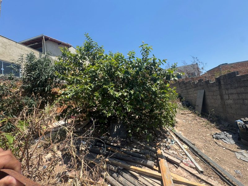 WhatsApp-Image-2025-10-07-at-20.34.22-3