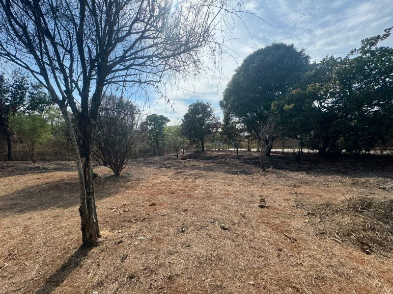 WhatsApp-Image-2025-10-17-at-21.02.43-1