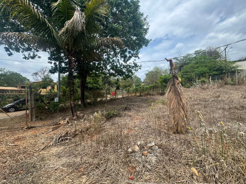 WhatsApp-Image-2025-10-17-at-22.49.01-1