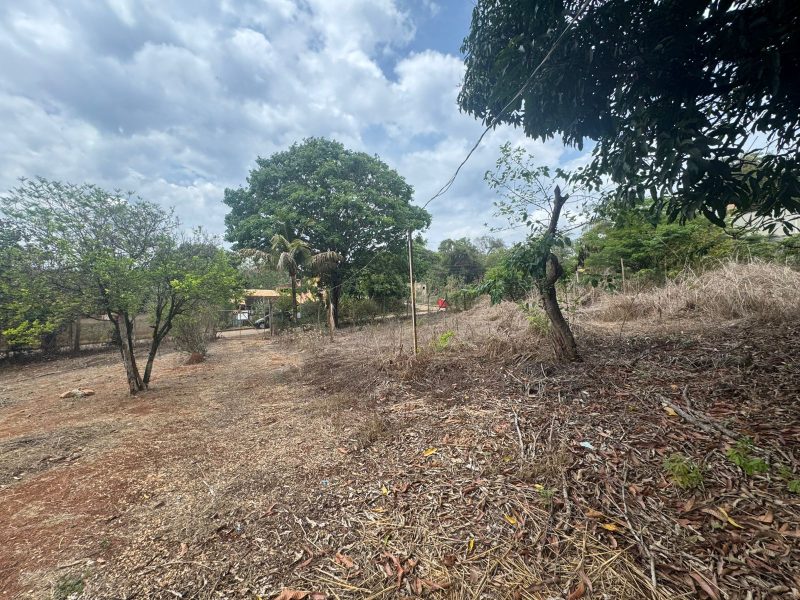 WhatsApp-Image-2025-10-17-at-22.49.02