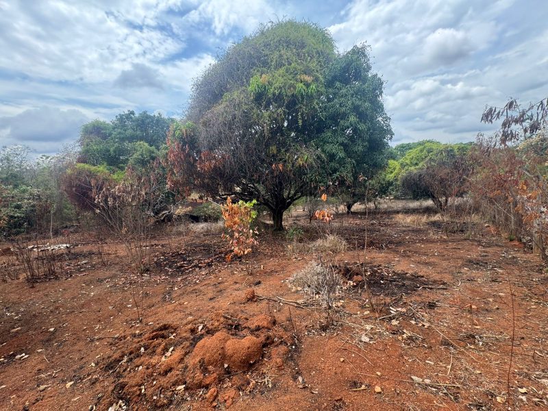 WhatsApp-Image-2025-10-28-at-07.35.09-1