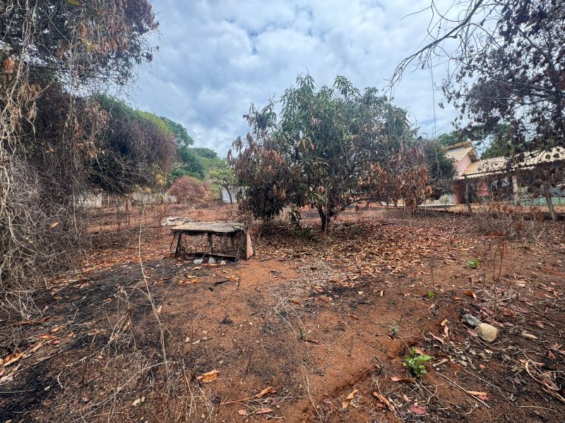 WhatsApp-Image-2025-10-28-at-07.35.10-2