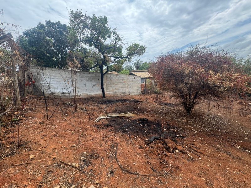 WhatsApp-Image-2025-10-28-at-07.35.10