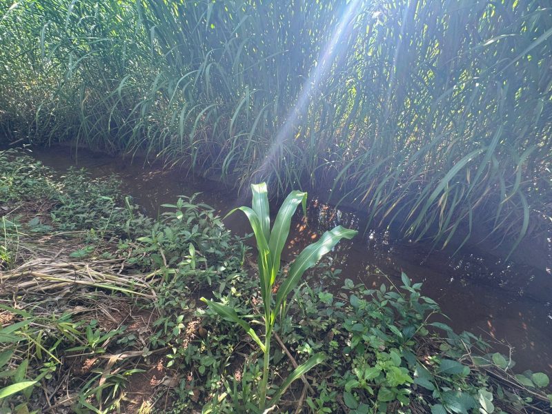 WhatsApp-Image-2025-12-08-at-09.13.52-1