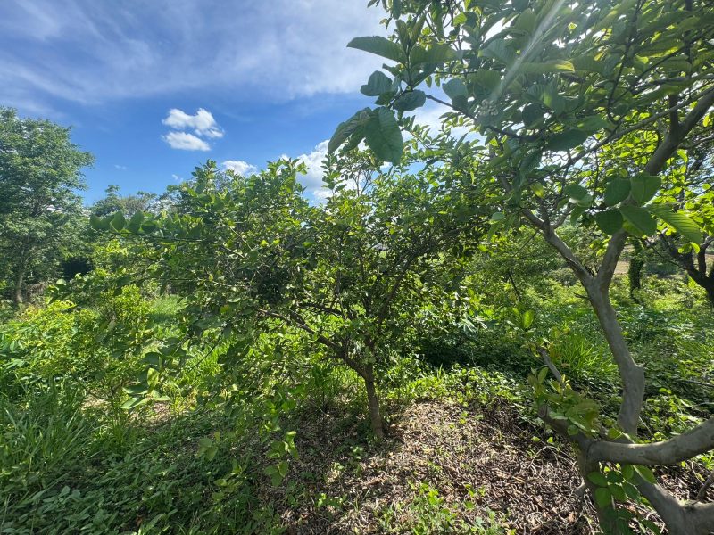 WhatsApp-Image-2025-12-08-at-09.13.54-1