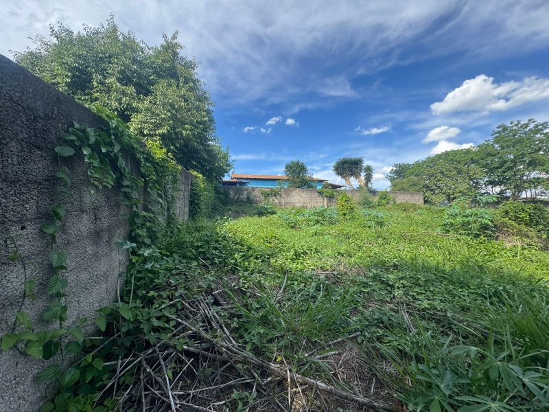 WhatsApp-Image-2025-12-08-at-09.13.54