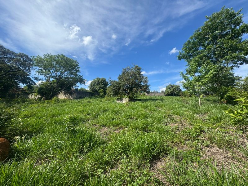 WhatsApp-Image-2025-12-08-at-09.13.55-1