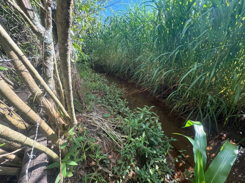 WhatsApp-Image-2025-12-08-at-09.13.57-1