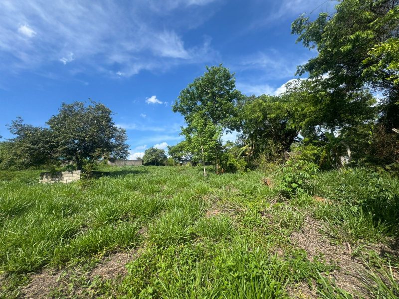 WhatsApp-Image-2025-12-08-at-09.13.57