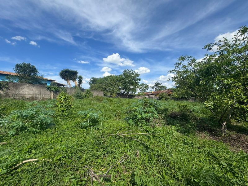 WhatsApp-Image-2025-12-08-at-09.13.58-4