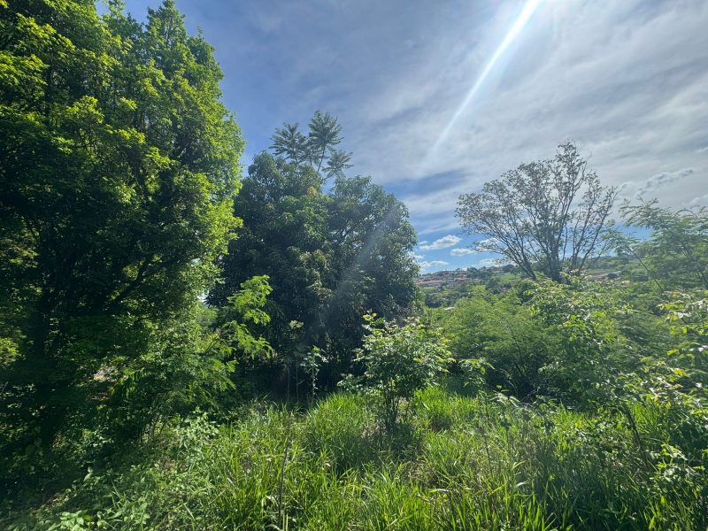 WhatsApp-Image-2025-12-08-at-09.13.58-5