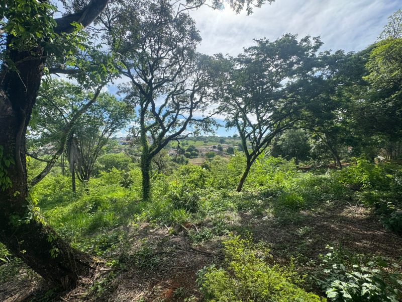 WhatsApp-Image-2025-12-08-at-09.13.58