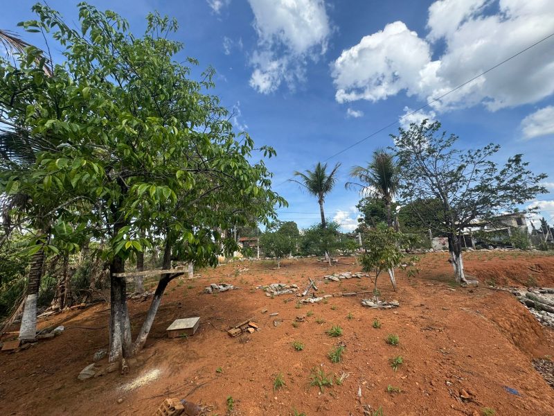 WhatsApp-Image-2025-12-08-at-10.01.52-3